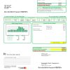 USA South Dakota Southeastern Electric utility bill template in Word and PDF format
