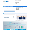 Spain Endesa luz utility bill template in Word and PDF format