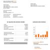 Spain Orange easy fillable utility bill template in Word and PDF format