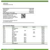 Togo Financial Bank statement template in Word and PDF format
