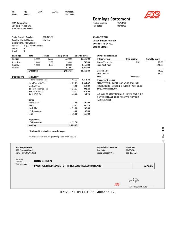 USA ADP Earnings statement template in Word and PDF format