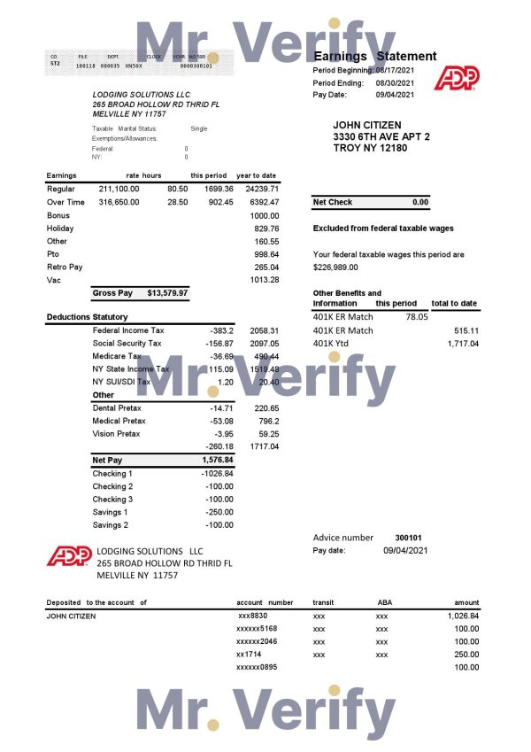 USA ADP business corporate earnings statement template in .xls and .pdf file format