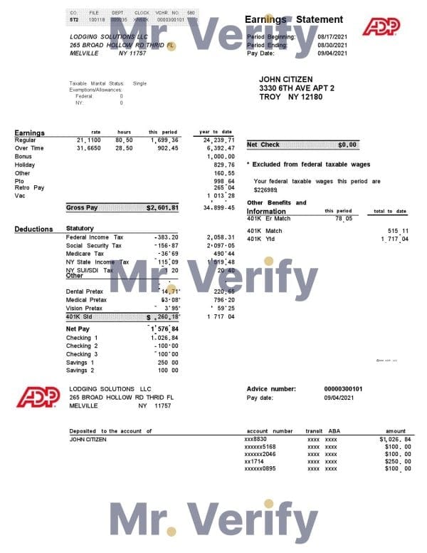 USA ADP business corporate earnings statement template in Word and PDF format