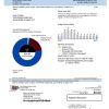 USA Michigan electricity utility bill template in Word and PDF format