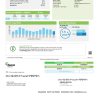 USA Ameren Missouri electricity utility bill template in Word and PDF format (2 pages)