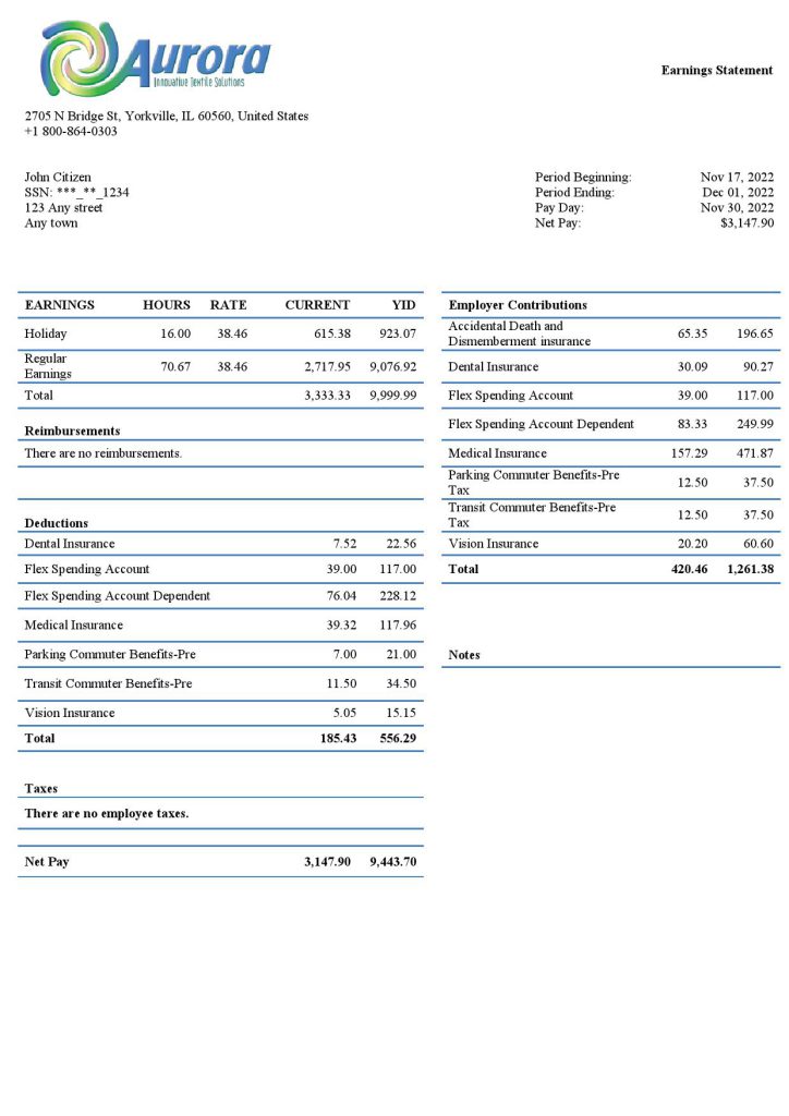 USA Aurora Specialty Textiles Group textile company pay stub Word and PDF template