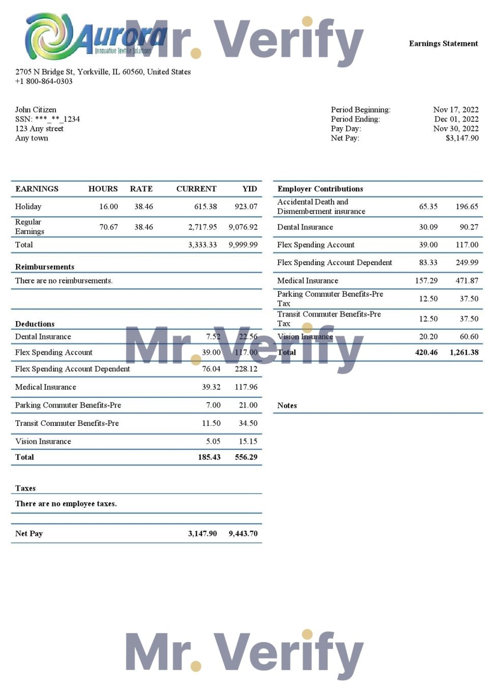 USA Aurora Specialty Textiles Group textile company pay stub Word and PDF template