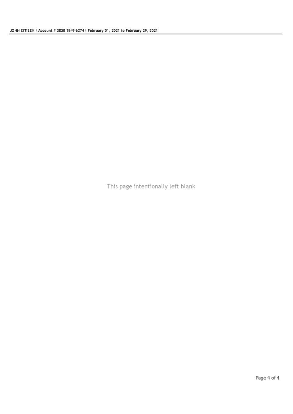 USA Bank of America bank statement template in Excel and PDF format (4 pages), version 3