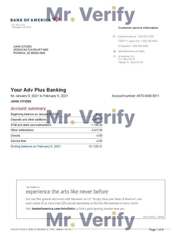 USA Bank of America bank statement template in Word and PDF format, 6 pages, version 2