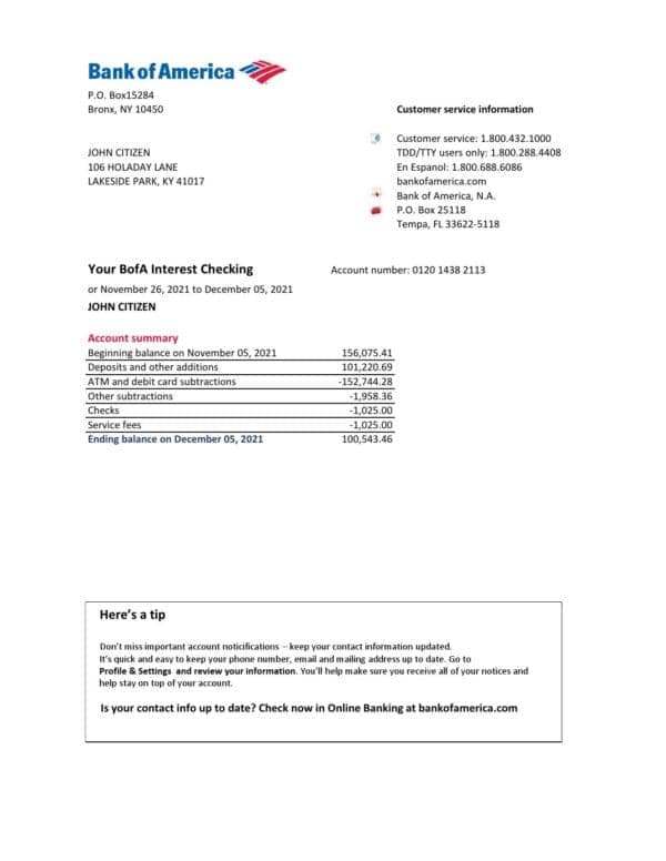 USA Bank of America bank statement easy to fill template in .xls and .pdf file format
