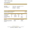 USA Bank of New York Mellon bank statement easy to fill template in Excel and PDF format