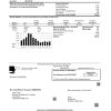 USA Nevada Big Bend Water District utility bill template in Word and PDF format