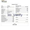 USA Brain Technology technology company pay stub Word and PDF template