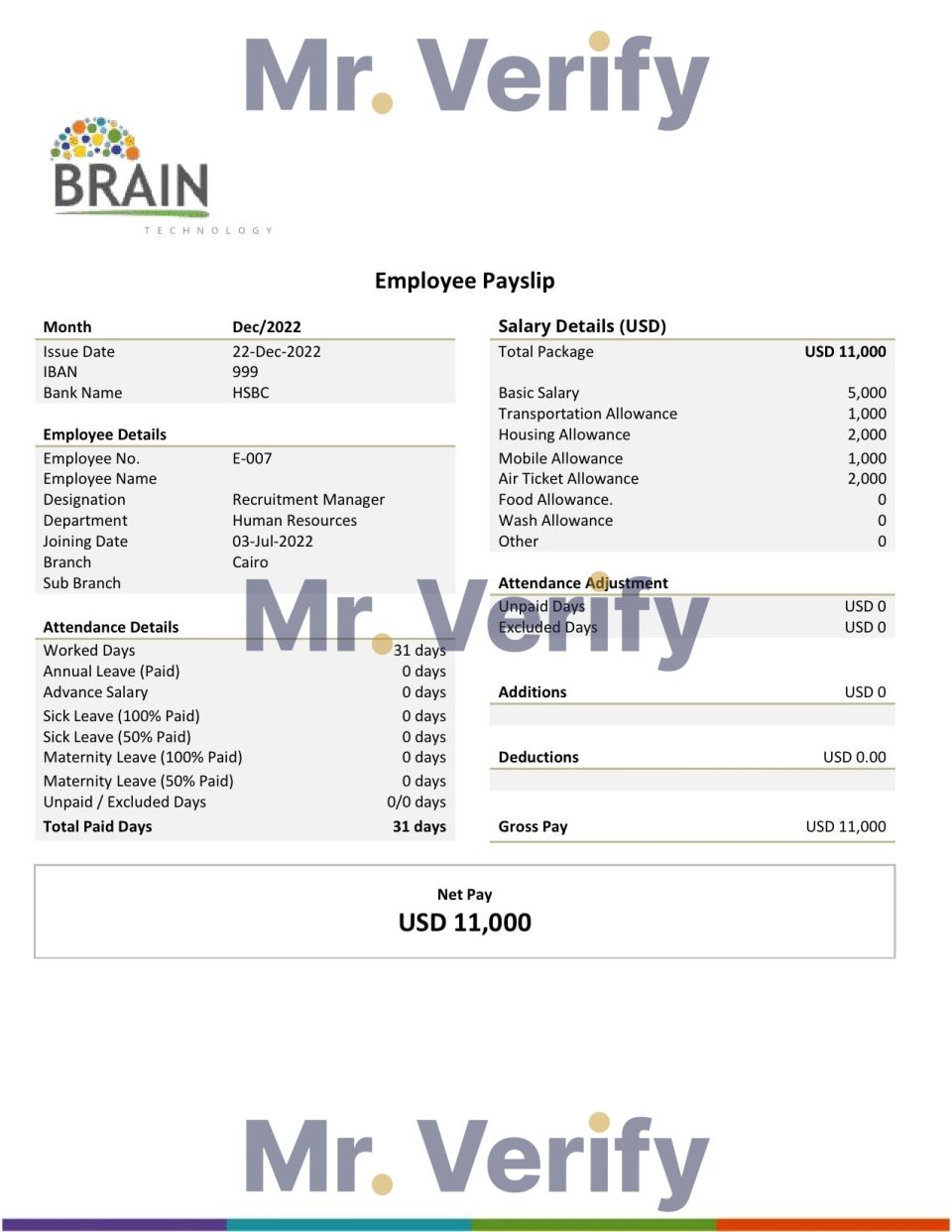 USA Brain Technology technology company pay stub Word and PDF template