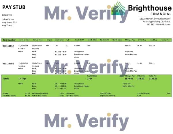USA Brighthouse Financial financial company pay stub Word and PDF template