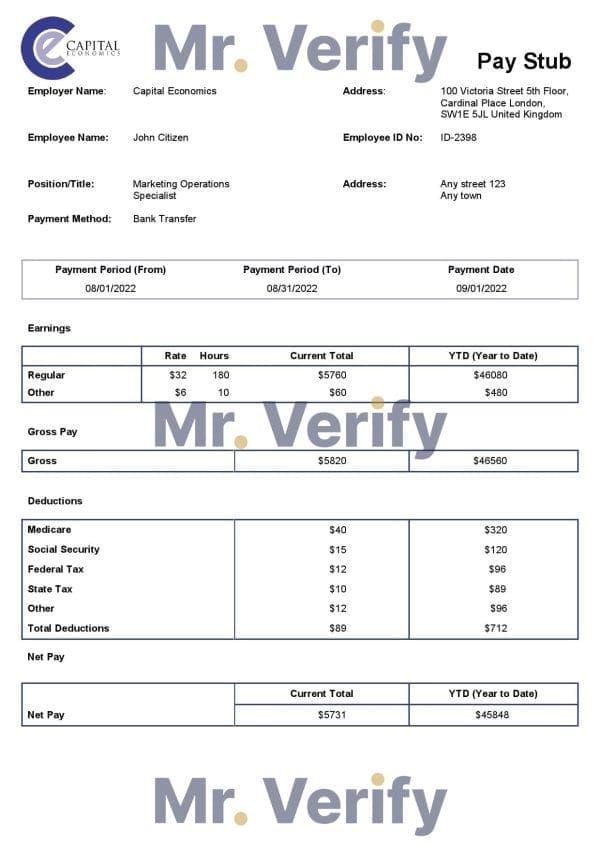 USA University of California educational company pay stub Word and PDF template