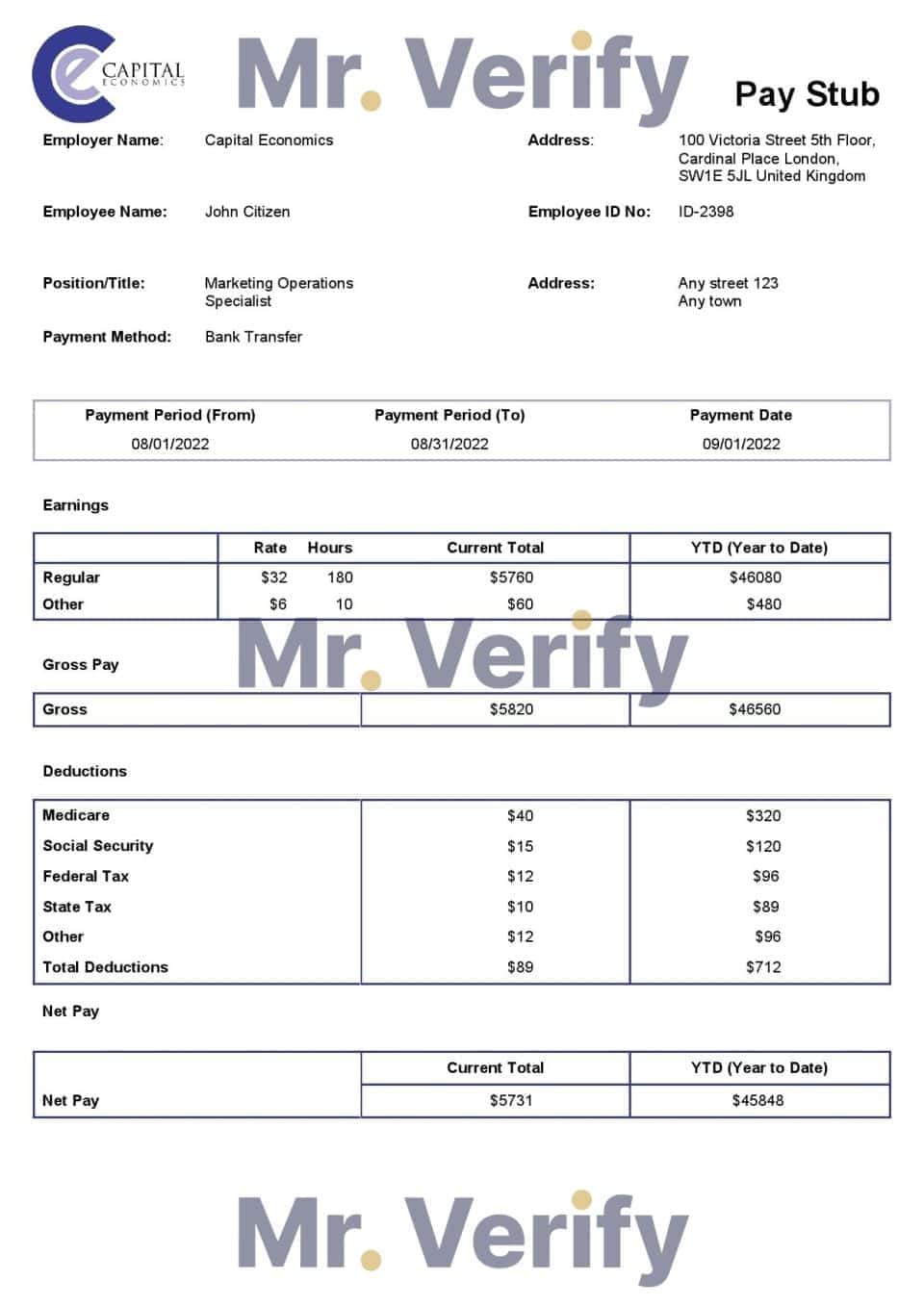 USA Capital Economics economic company pay stub Word and PDF template