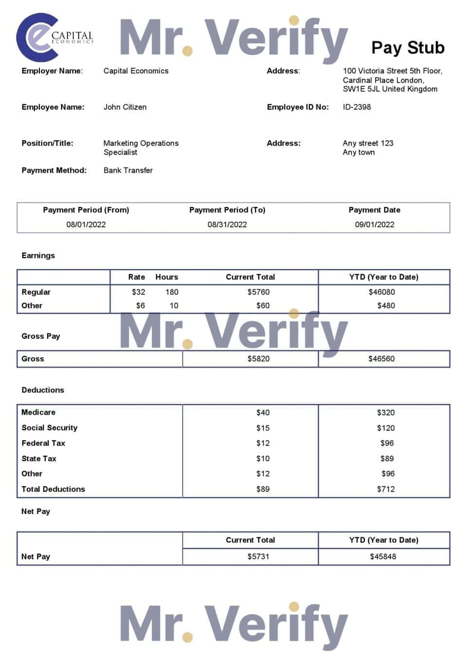 USA Capital Economics economic company pay stub Word and PDF template