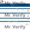 USA Capital One banking company pay stub Word and PDF template