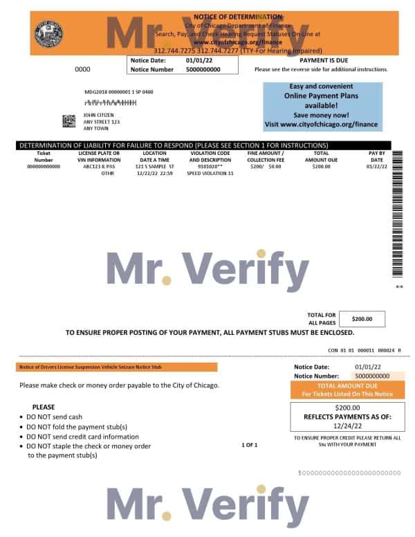 Chile Banco Bice bank statement template in Word and PDF format