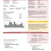 USA City of Utility Statement water utility bill template in Word and PDF format