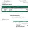 USA Consumers Energy utility bill template in Word and PDF format