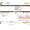 USA Pennsylvania Duquesne Light Company (DLC) utility bill template in Word and PDF format