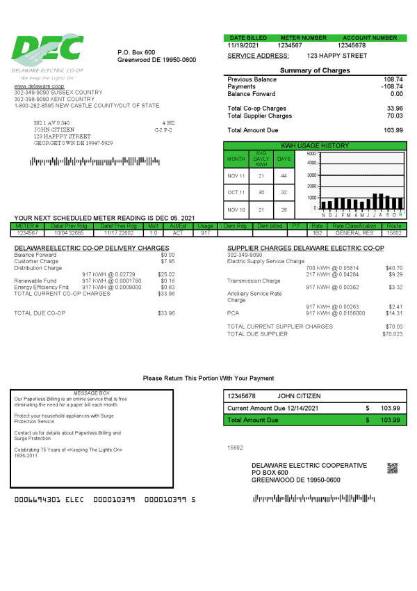 USA Delaware Electric Co-op utility bill template in Word and PDF format