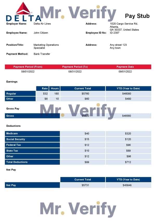 USA Delta Air Lines airlines company pay stub Word and PDF template