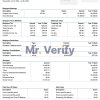 USA Discovery Inc. entertainment company pay stub Word and PDF template
