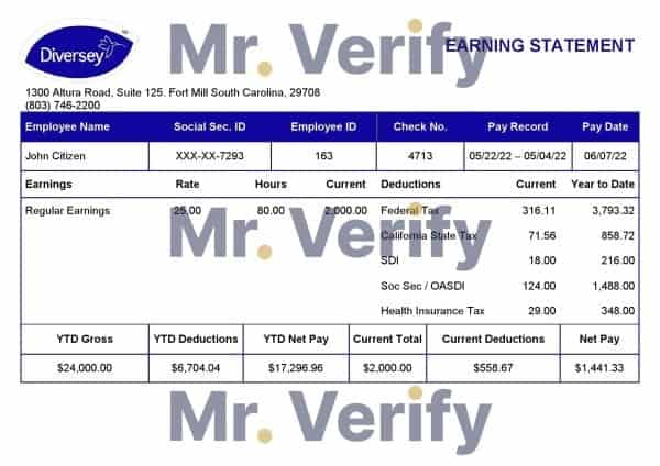 Australia Shield Geo consulting company pay stub Word and PDF template