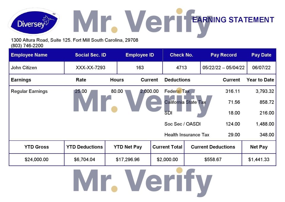 USA Diversey household goods company pay stub Word and PDF template