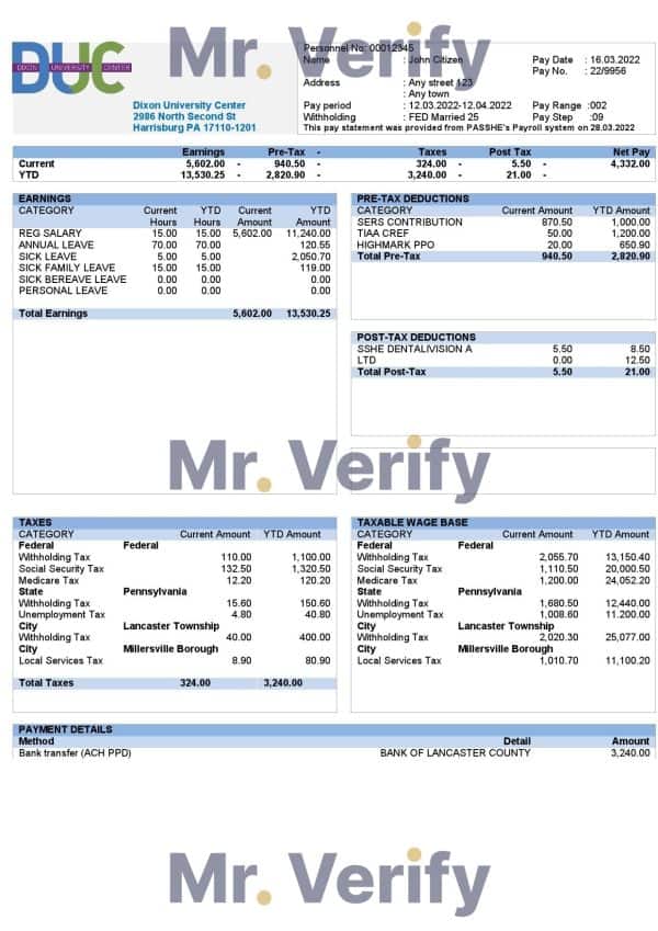 USA Dixon University Center educational company pay stub Word and PDF template