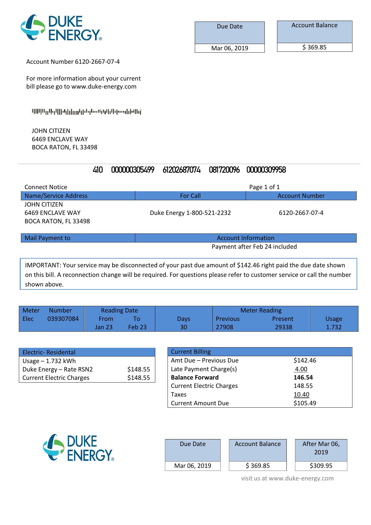 USA North Carolina Duke Energy utility bill template in Word and PDF format