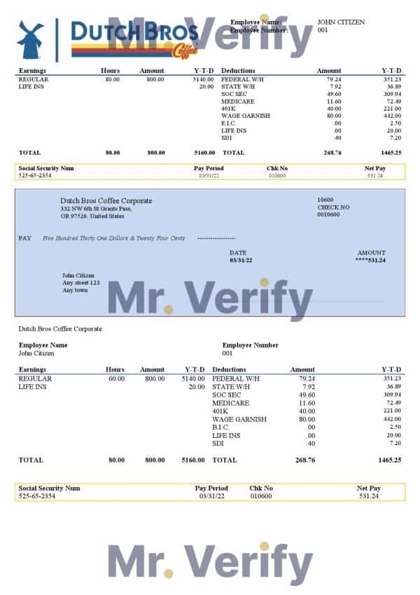 USA Southwest Airlines airlines company pay stub Word and PDF template