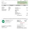 USA Ohio Farmer’s Electric Cooperative utility bill template in Word an PDF format