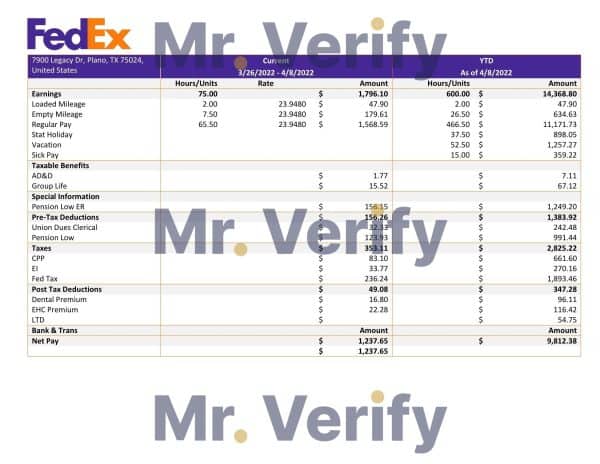 USA Fedex transportation company pay stub Word and PDF template