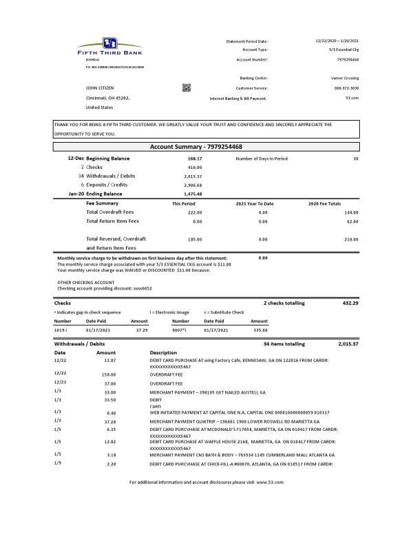USA Fifth Third Bank statement easy to fill template in .xls and .pdf file format