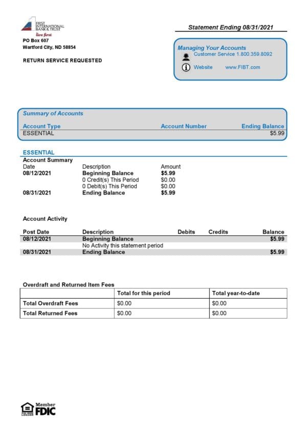 USA First International Bank & Trust bank statement template in Word and PDF format