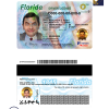 USA Florida driver license Psd Template