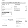 USA Florida Public Utilities utility bill template in Word and PDF format