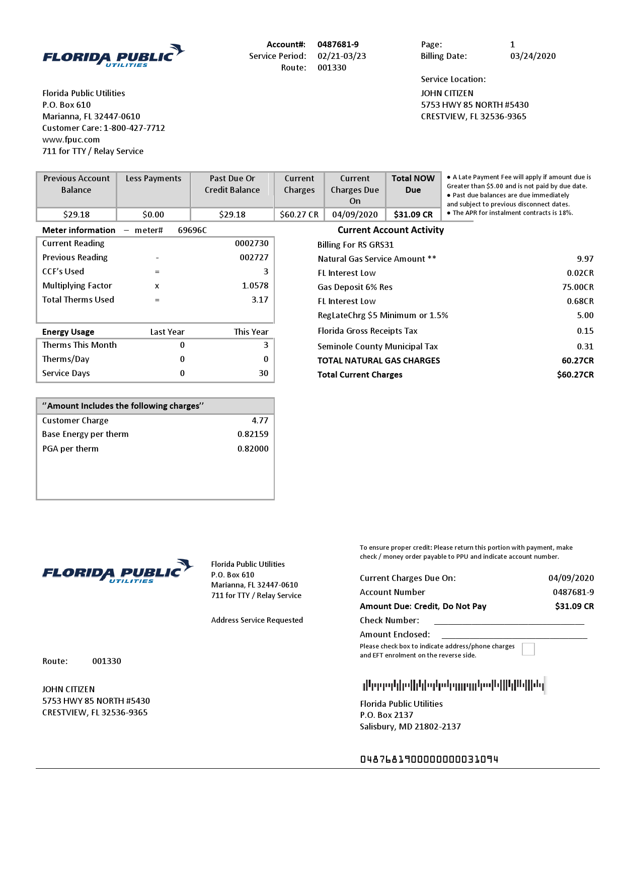 USA Florida Public Utilities utility bill template in Word and PDF format