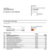USA Florida Silicon Valley bank credit card statement template in Word and PDF format