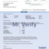 High-Quality USA Froedtert Hospital Invoice Template PDF | Fully Editable