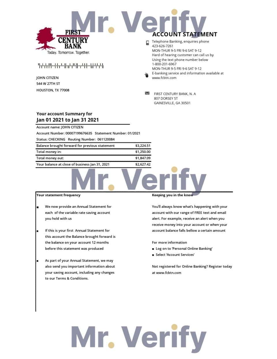 USA Georgia Gainesville First century bank statement template in .xls and .pdf file format