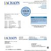 USA Georgia JACKSON EMC utility bill template in Word and PDF format (2 pages)