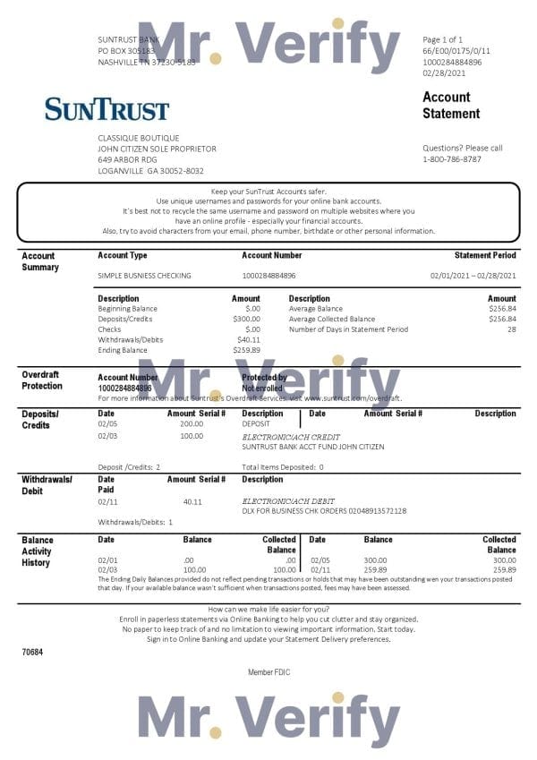 USA Georgia SunTrust bank statement template in Word and PDF format (For Sole Proprietor)