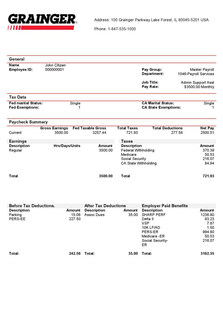 USA Grainger industry company pay stub Word and PDF template