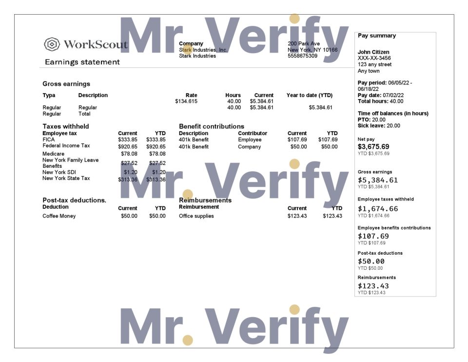USA IT technologies company earning statement template in Word and PDF format