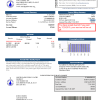 USA Illinois North Park Public Water District IL utility bill template in Word and PDF format